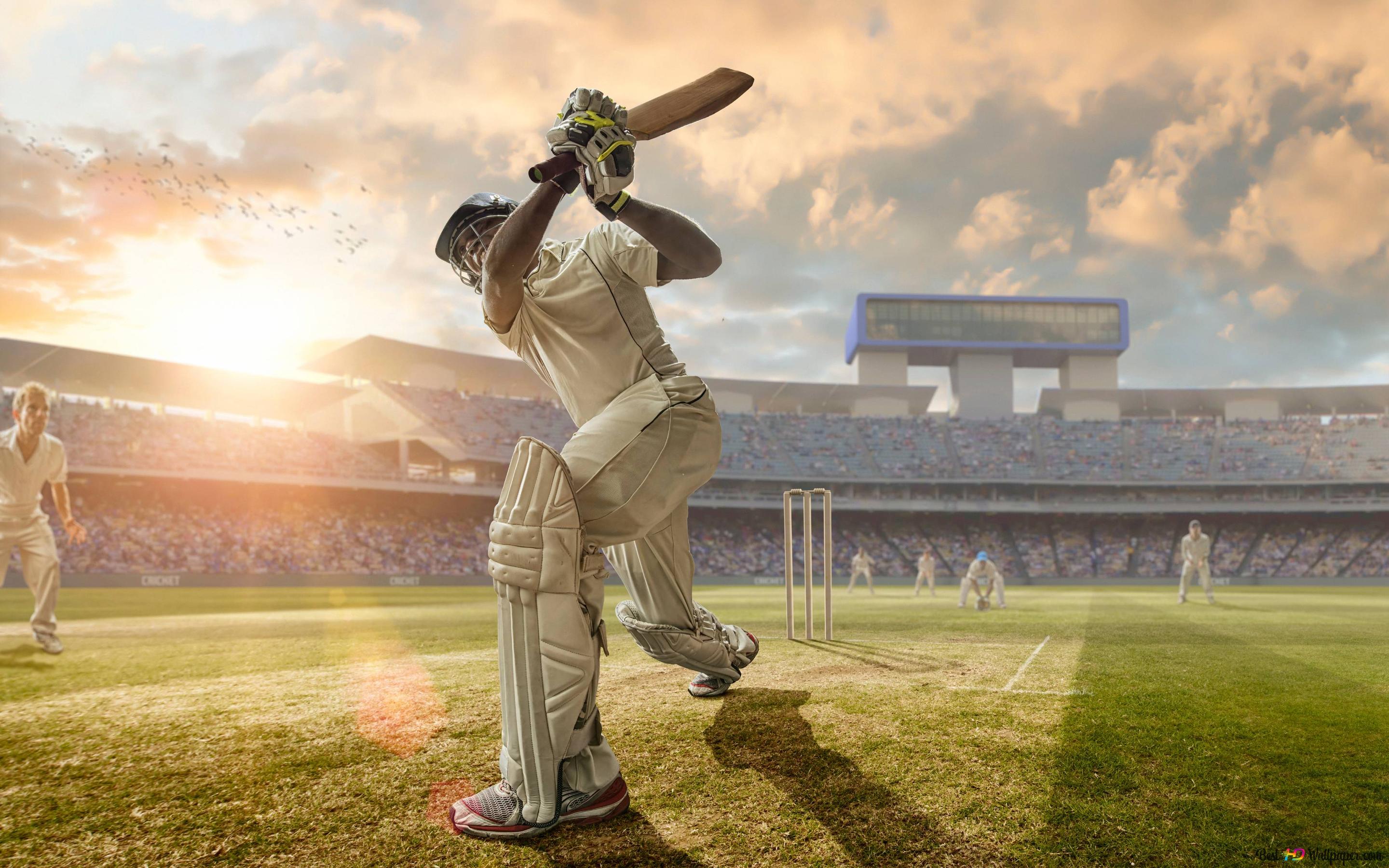Cricket